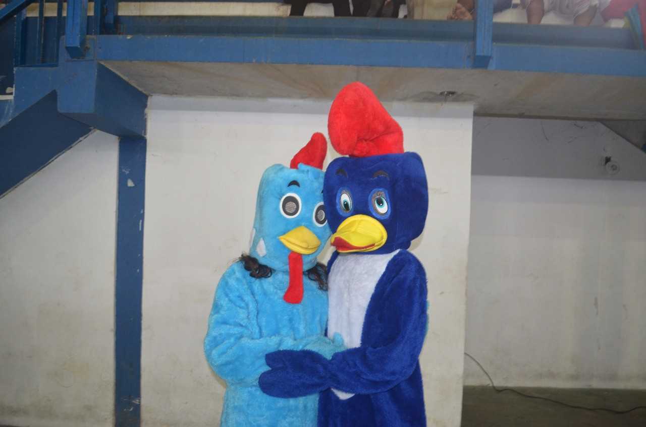 Fotos da Educação